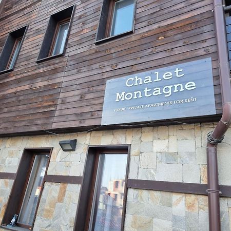 Chalet Montagne Bansko Apartment 외부 사진